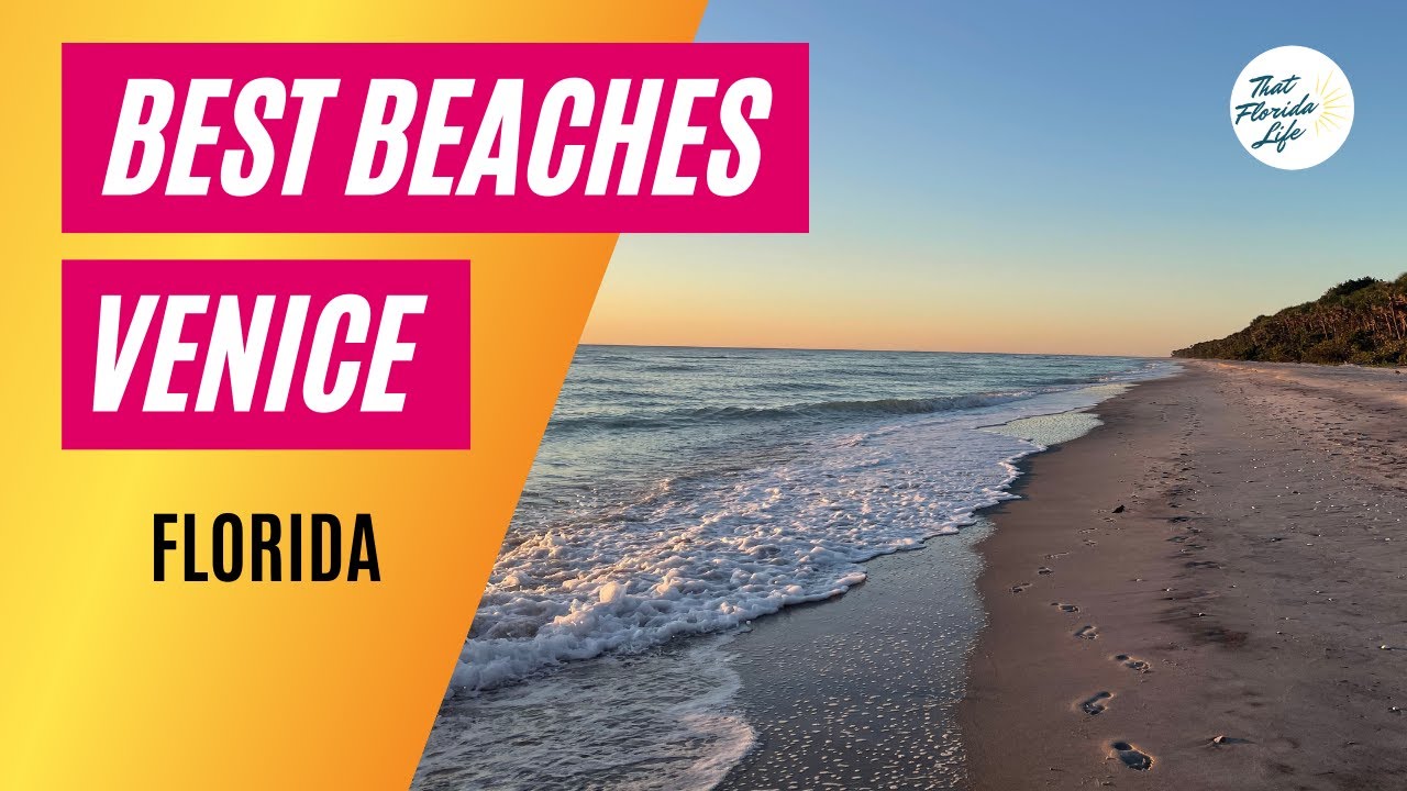 Best Venice Florida Beaches