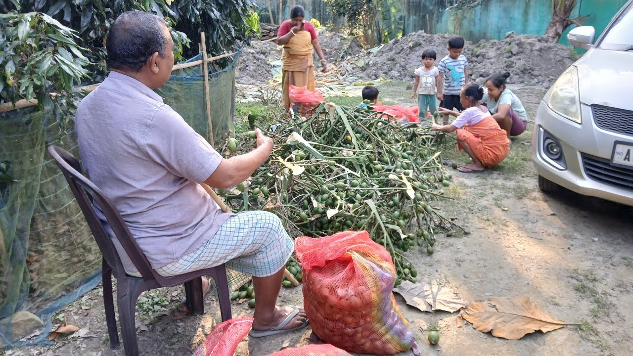 Noni Goi Hanbai Jwngha/Gamiyariao Bese Mwjang Jo Jo Dum Dam Hwklaijwbai Kebsenw🥰😄||#villagelife#vlog