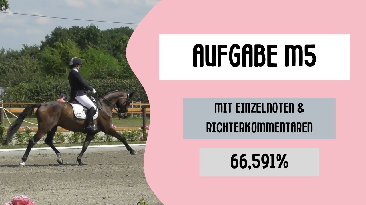 Unsere M5 mit Einzelnoten & Richterkommentaren! 🤗 // #rinisreiterei