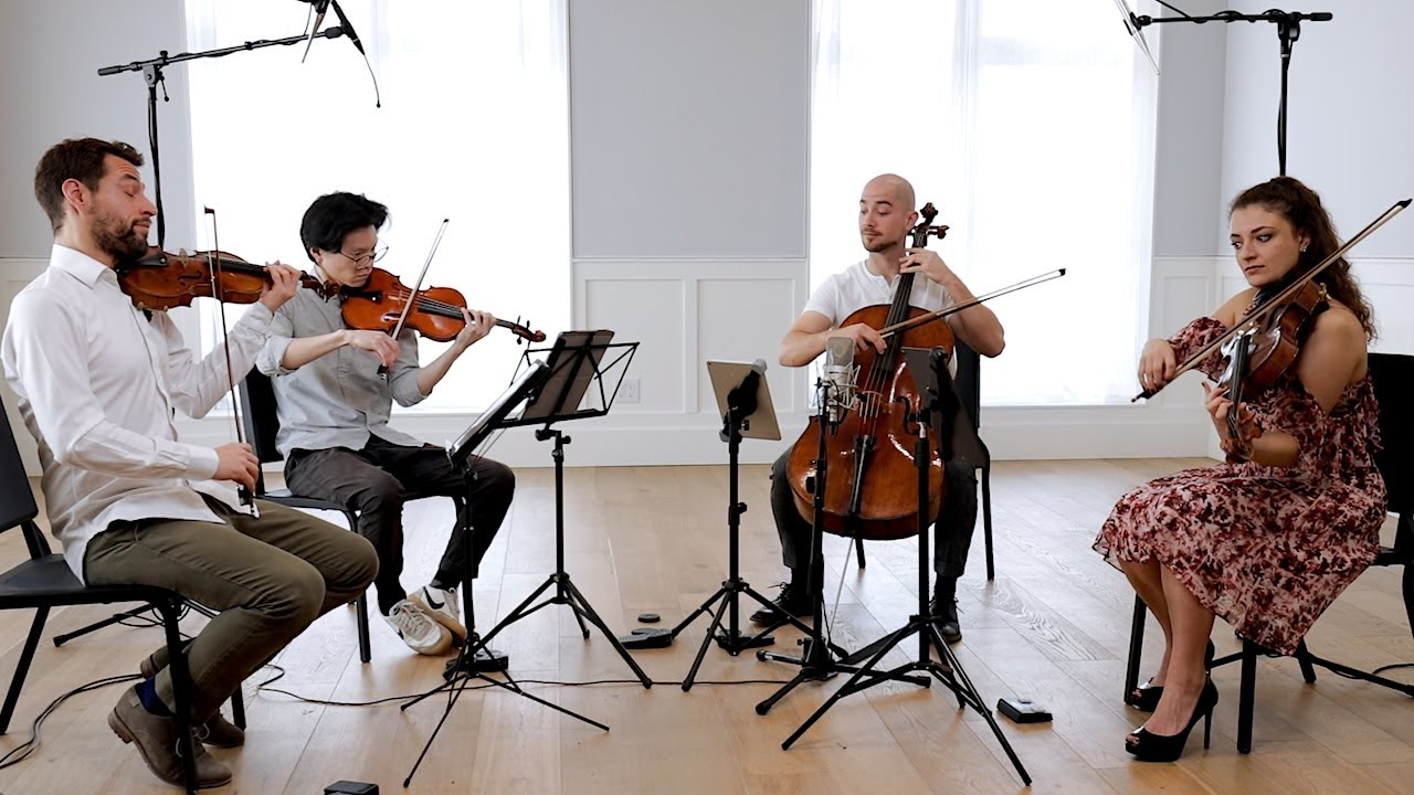 DOVER QUARTET - Dvorak: 