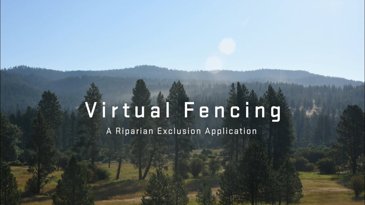Virtual Fencing - A Riparian Exclusion Application