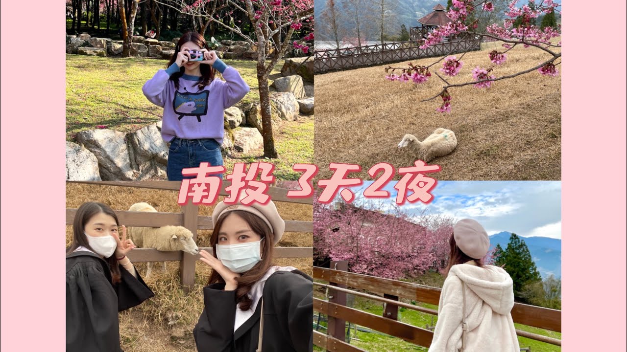 Daily VLOG 南投3天兩夜 九族櫻花季 清境看羊羊｜Shining✨