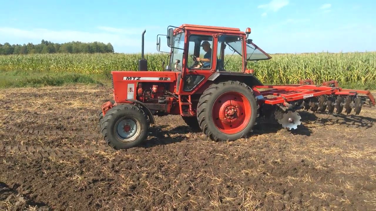 MTZ 82 + brona talerzowa Strumyk alfa x4 3,15m (29.08.2025)