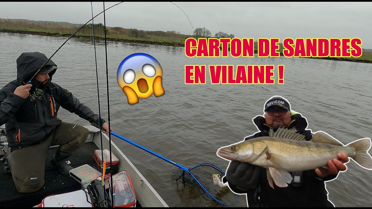Pêche de sandres en vilaine ! le carton !
