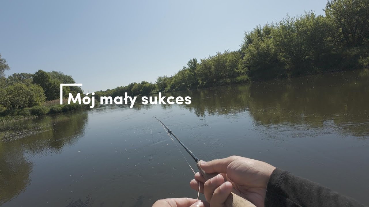 M&oacute;j mały sukces | wędkarstwo muchowe | Klenie z rzeki Warta