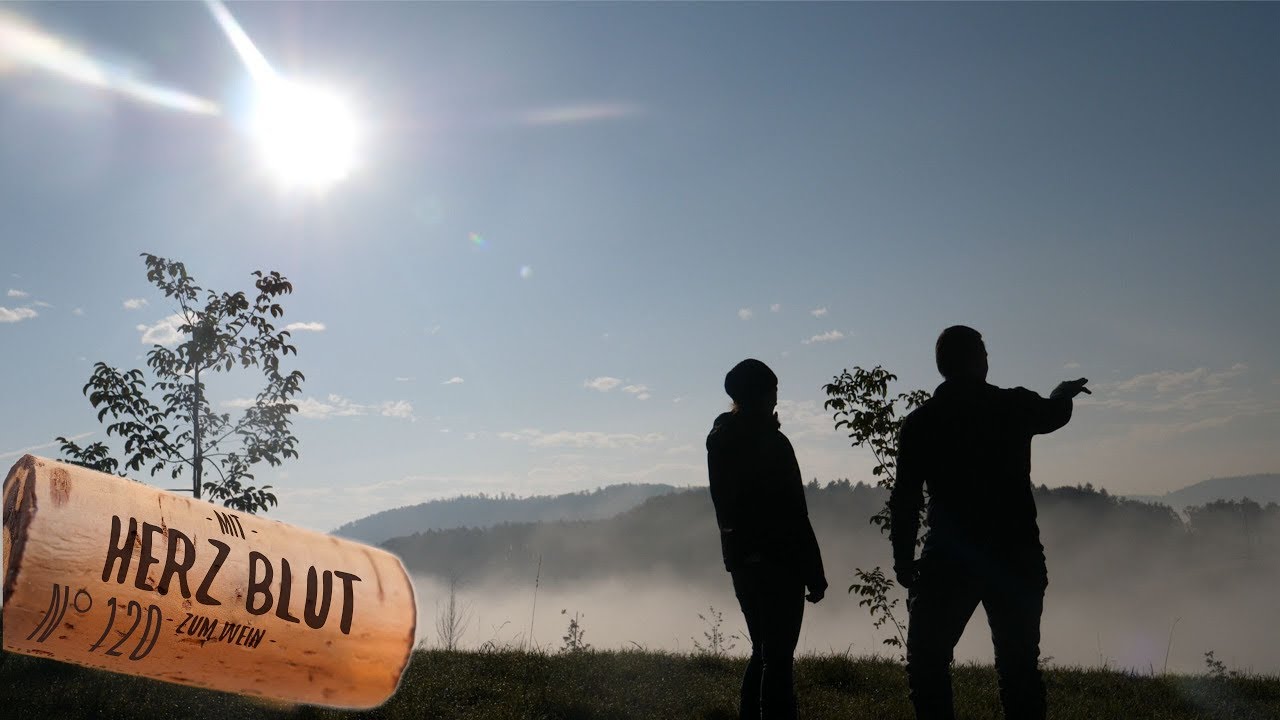 Die ruhe nach dem Sturm |  mit Herzblut zum Wein Vlog #120