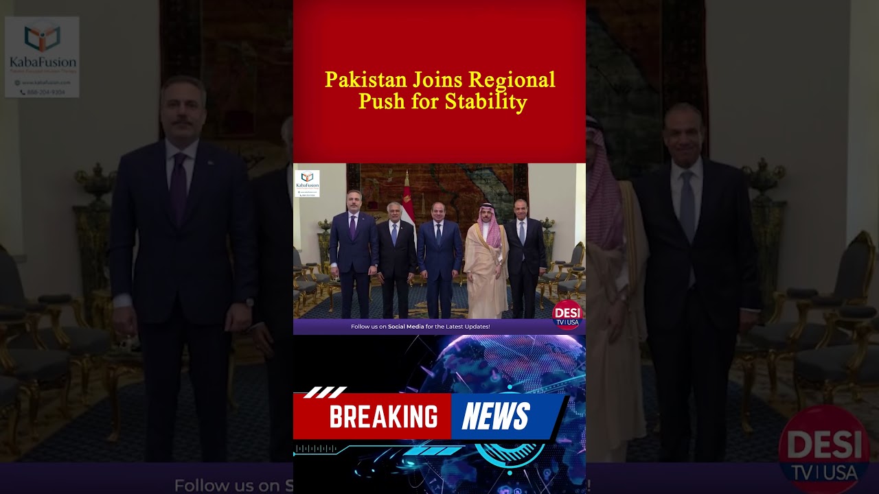 Cairo Meeting: R-4 Countries Push for Middle East Peace
