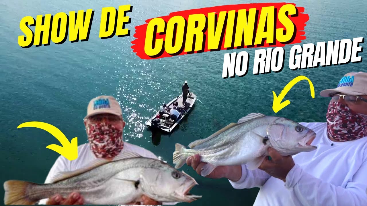 MUITA CORVINA NO RIO GRANDE EM MIGUELOPÓLIS | ERA UMA FISGADA ATRÁS DA OUTRA