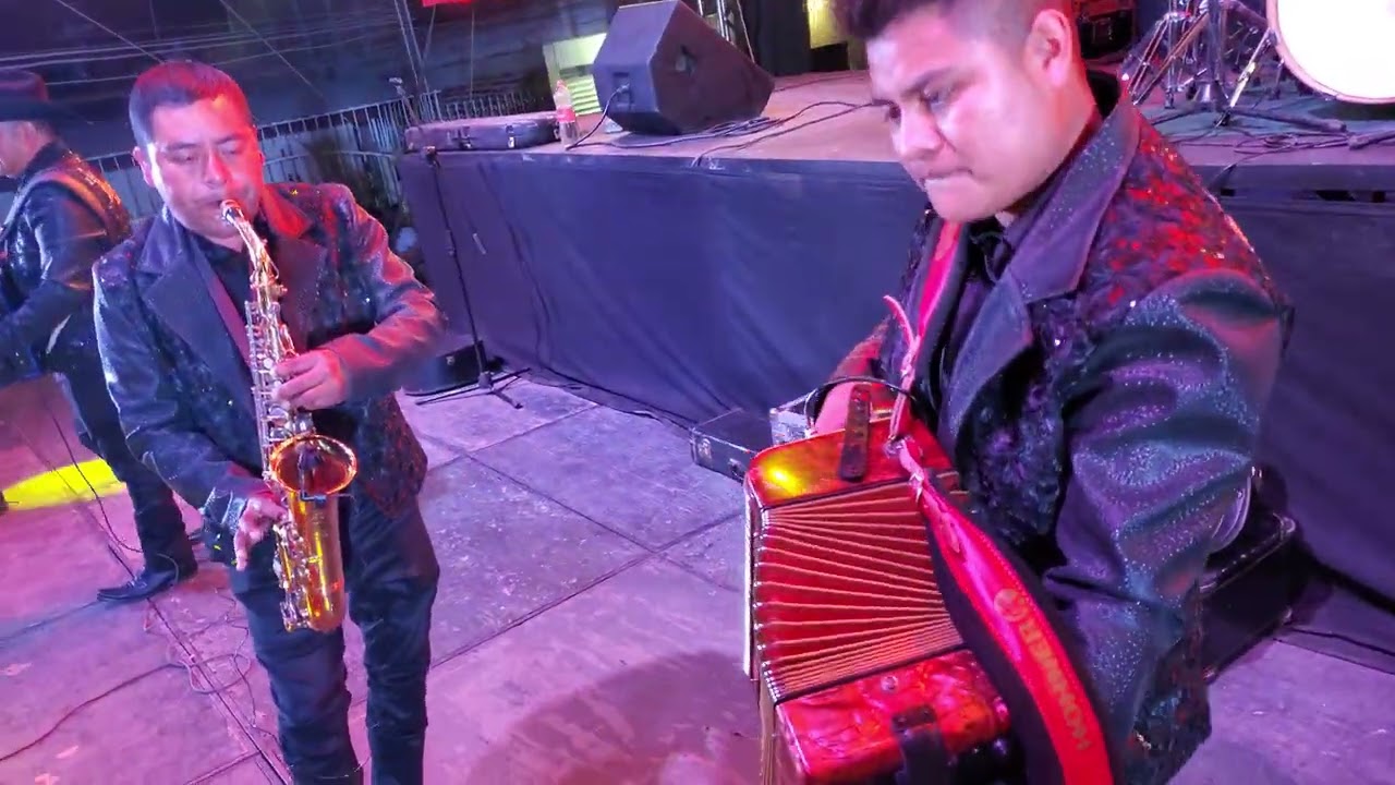 Los Felinos Del Norte - La Puerta Negra