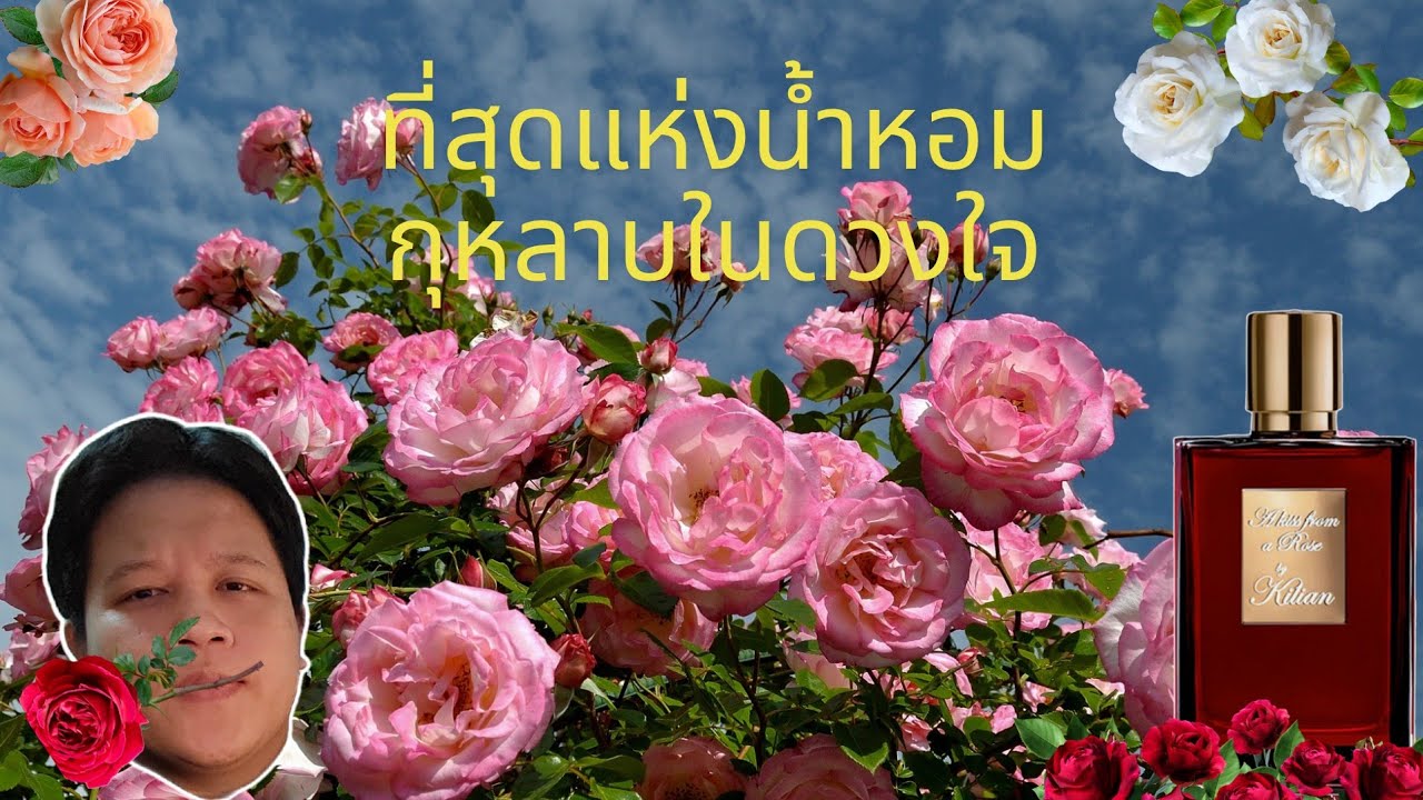 ชวนมารีวิว Ep.21 น้ำหอมกลิ่นกุหลาบที่ยกให้เป็นที่ 1 ในใจ ณ ตอนนี้ Kilian: A kiss from a rose.