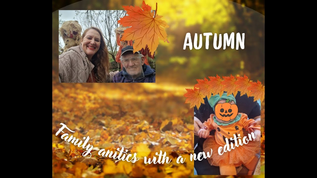 Pumpkin patch