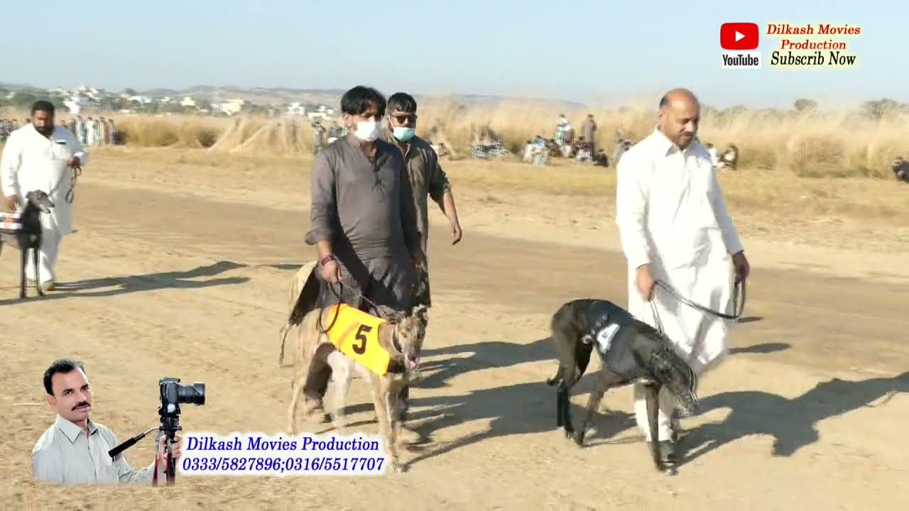 Dog Race Dina Jhelum (27.11.2020) Day 1 Jhelum Valley Group