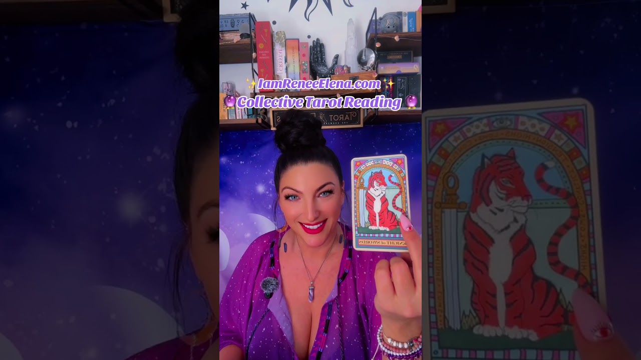 Collective Tarot Reading 🔮✨