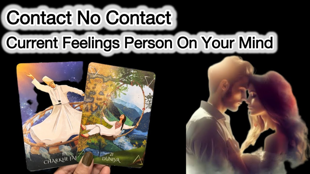 Current Feelings Person On Your Mind Contact No Contact Tarot Reading #intutiveword1111 