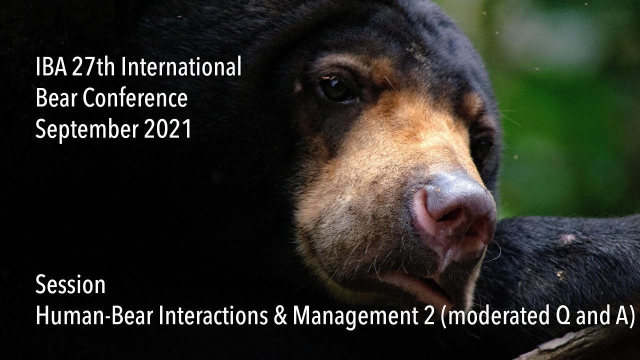 IBA 27th International Bear Conference - Human-Bear Interactions & Management 2 (moderated Q and A)