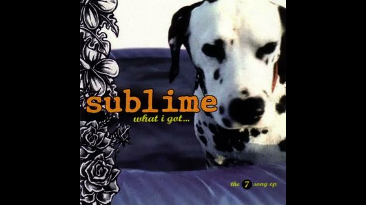 Sublime - What i got