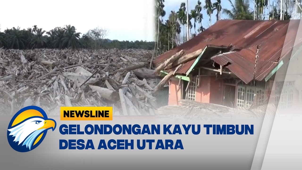 Gelondongan Kayu Timbun Desa di Aceh Utara Pasca Banjir  - [Newsline]