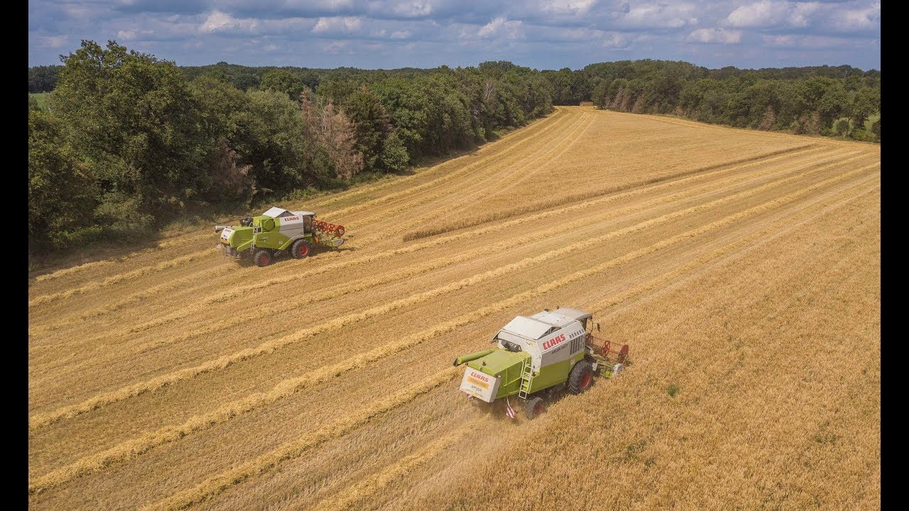 Loonwerken Kerkhofs aan het dorsen met 2 Claas dorsers