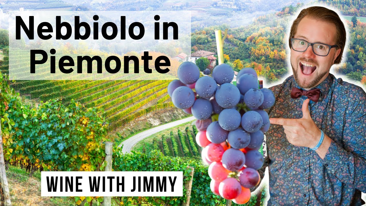 WSET Level 4 D3 Italian Wines - Mastering Nebbiolo wines from Piemonte