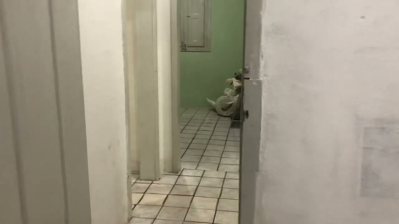Casa Na Rua Bela Vista | Casa Amarela | Recife | Pernambuco