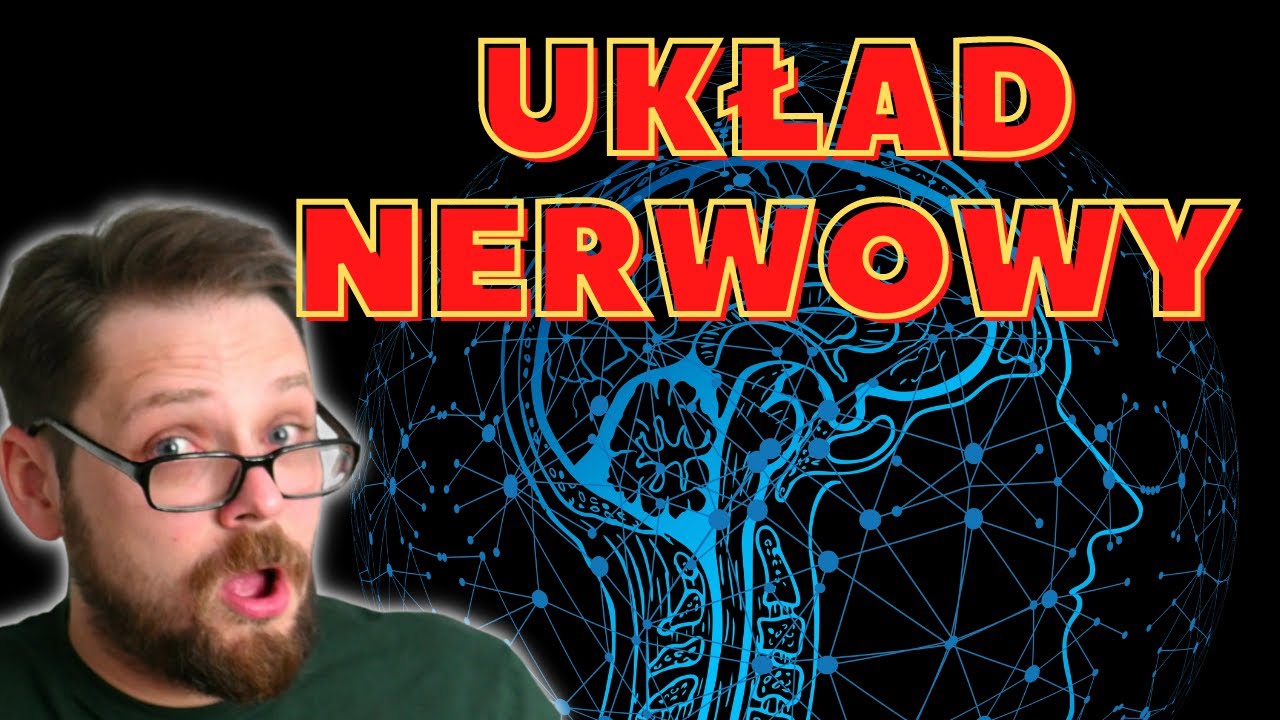 Budowa i rola układu nerwowego cz.1 Podział układu (ośrodkowy, obwodowy, autonomiczny i somatyczny)