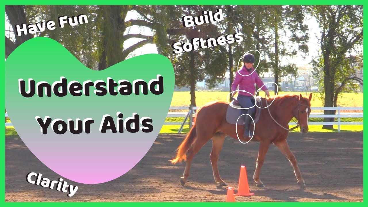 Understand Your Aids! How to Get A More Responsive Horse!