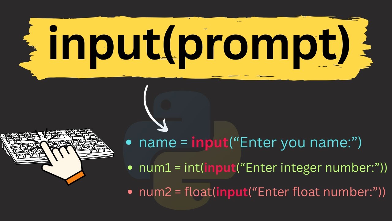 input function in Python Programming Tutorials