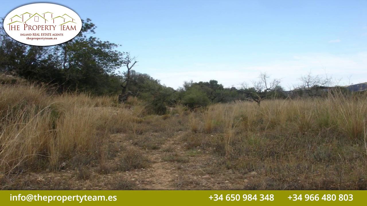 Plot of Land in Jal&oacute;n Price 145000 Ref 18048