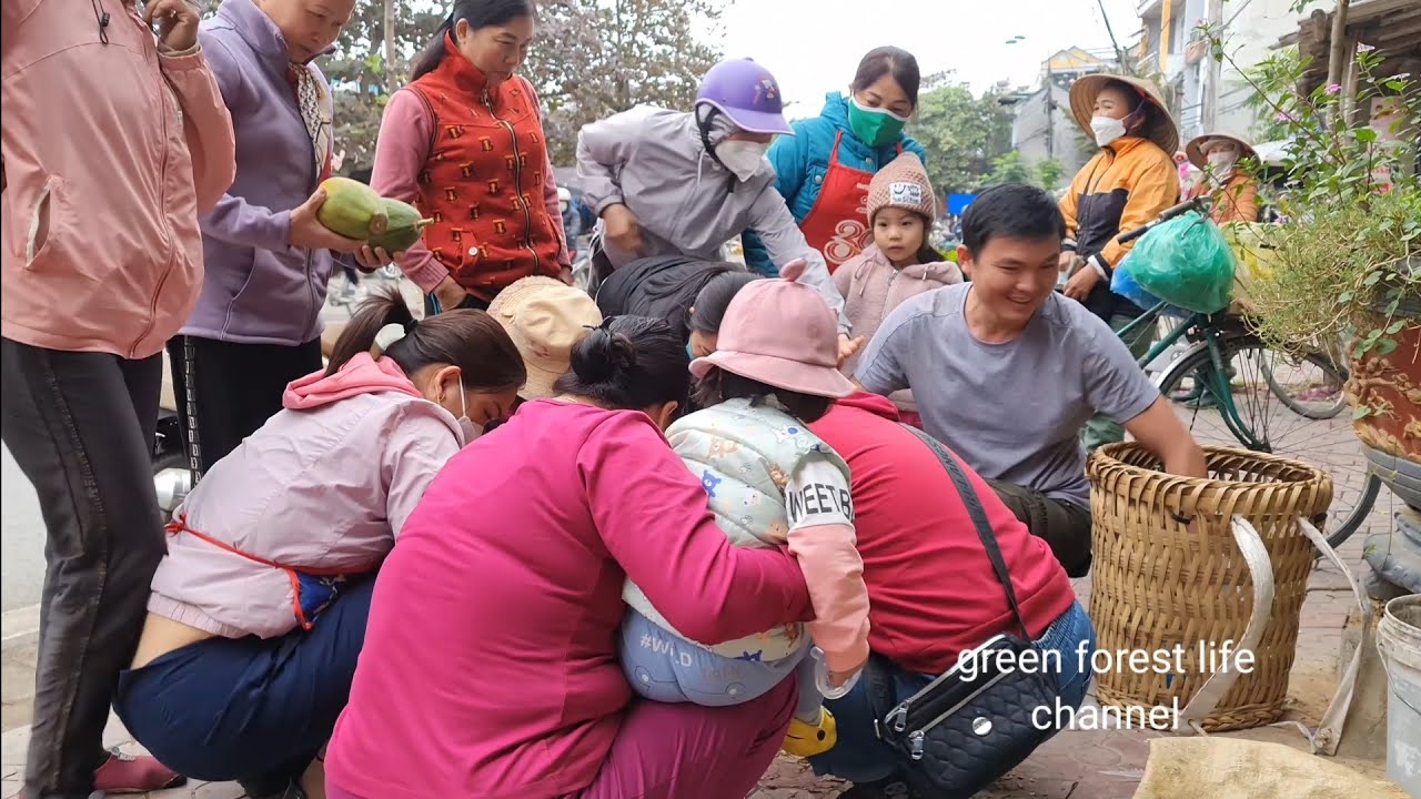 Didn't expect the city people to like Robert's goods so much. Green forest life (ep245)