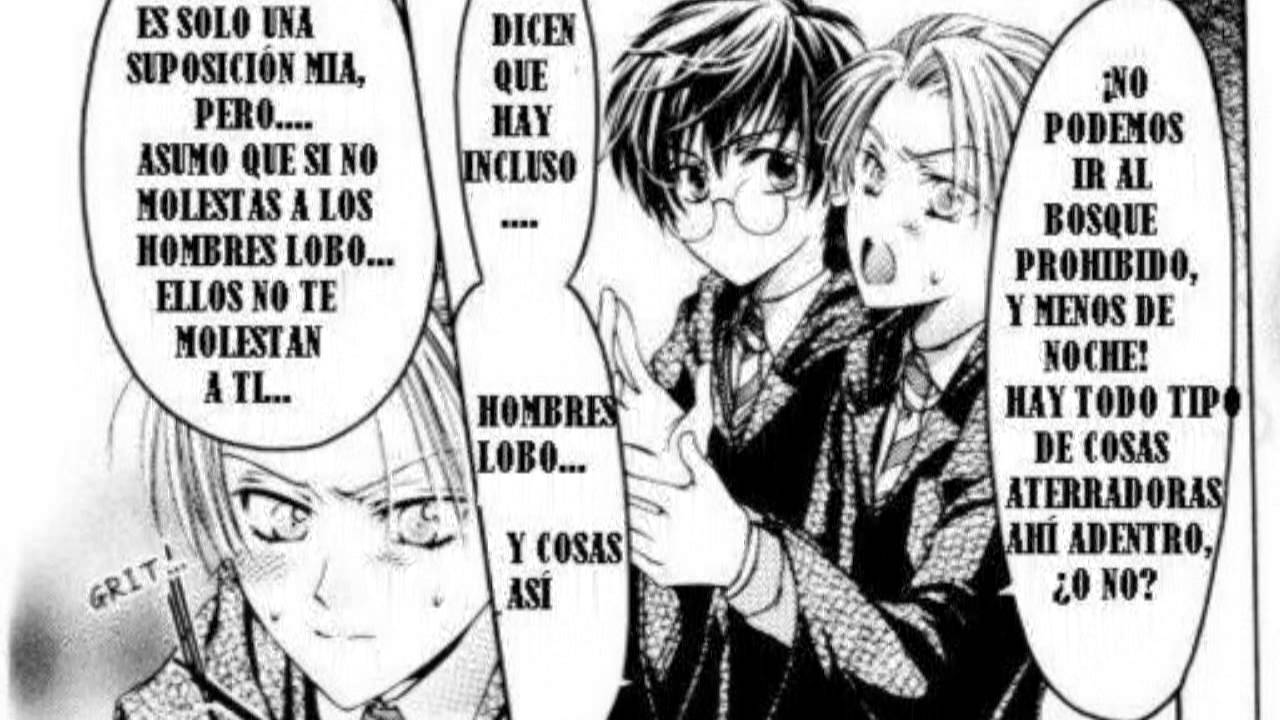 ▶Querido Sentimiento◀ | Doujinshi DracoxHarry (Español/Yaoi)