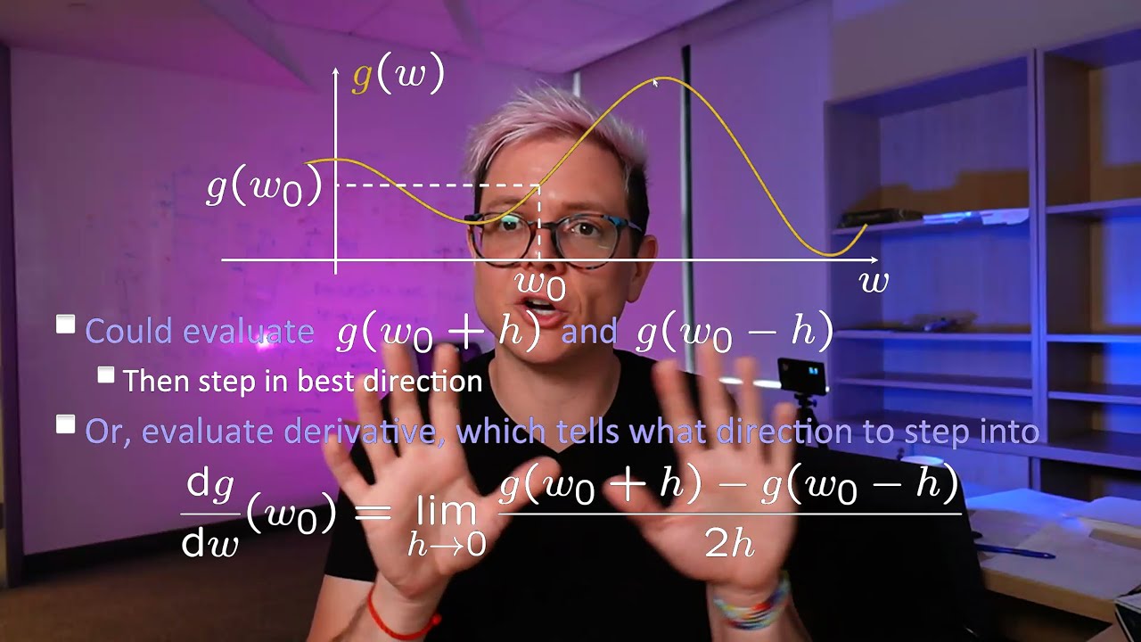 06 &ndash; Optimisation and gradient ascent