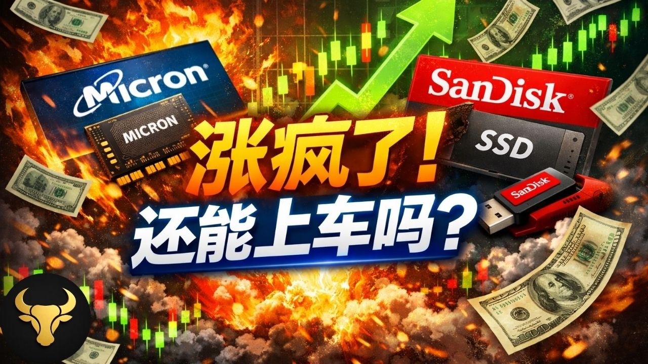 存储股还能涨多久？MU，SNDK现在上车还来得及吗？买入前必看的三大风险预警！