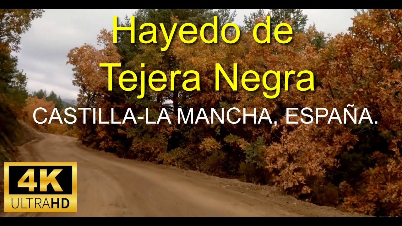 Llegando al Hayedo de Tejera Negra en Otoño, pasando por Alquité y Cantalojas | España | Slow TV 4K