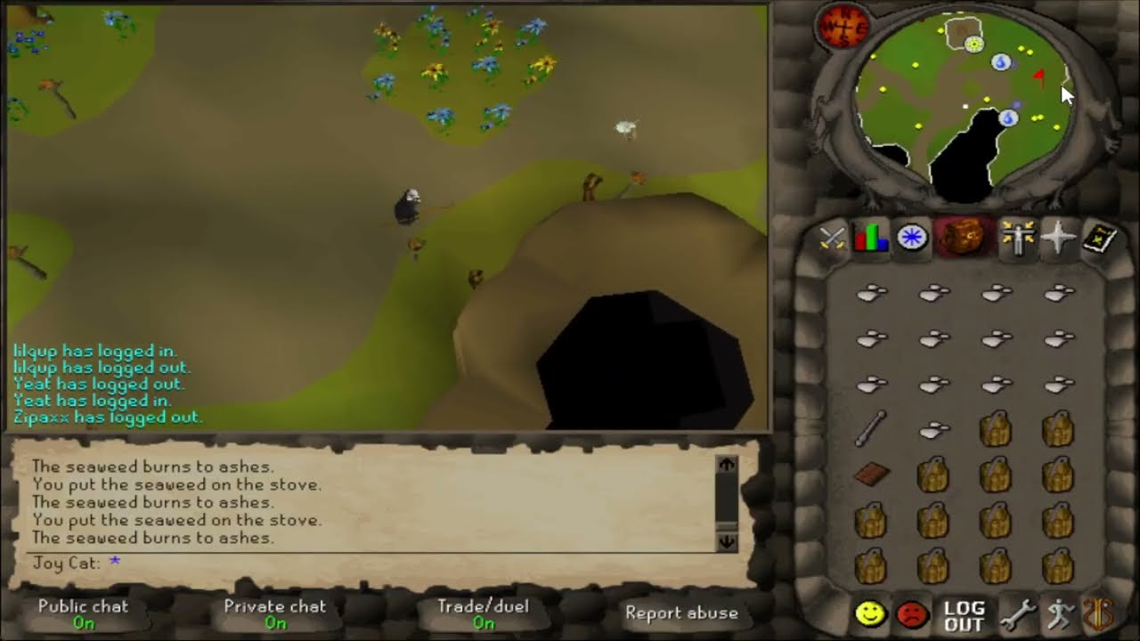 zanaris laps / ca. 22k craft + 23 chocolate bars + 46 buckets + 300 orbs per hour (2004scape)