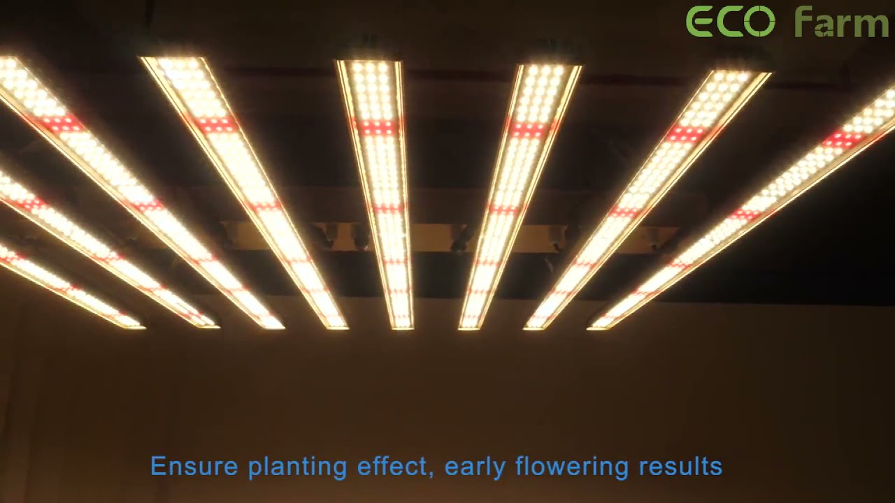 ECO Farm 500W Commercial LED Grow Light Bar for Grow Room and Commercial cultivation