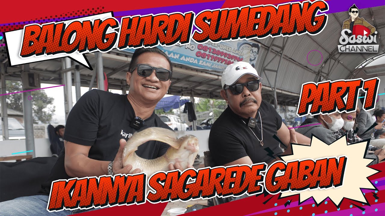 BHS - BALONG HARDI SUMEDANG, IKANNYA SAGAREDE GABAN || BABON HUNGKUL‼️(PART -1)