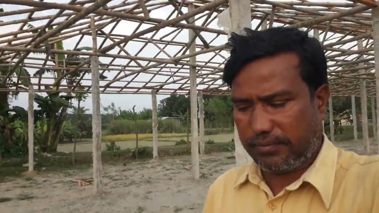 আজ বৈকালে আরও একটি ভিডিও করলাম আমাদের মুরগির নতুন খামারের