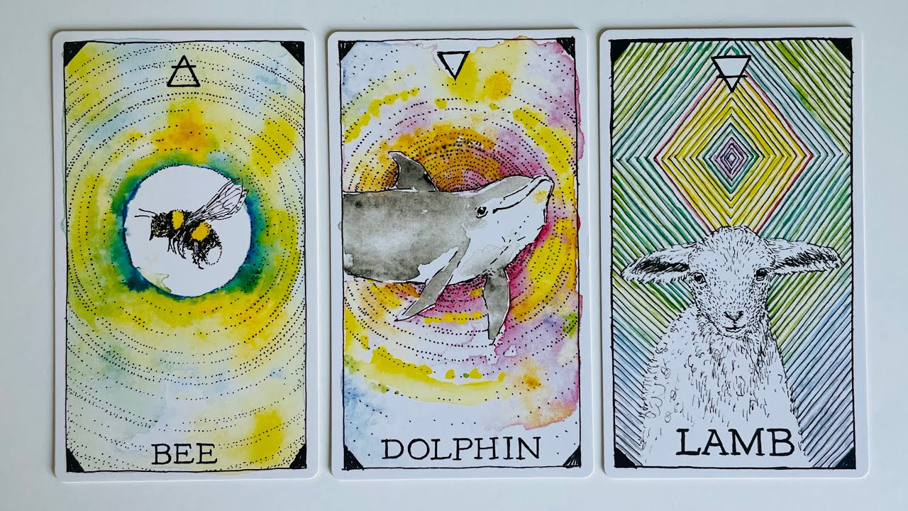 What Will be Revealed to You Soon - Pick a Card - Timeless Tarot