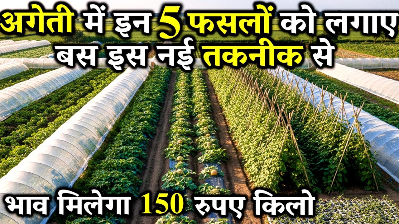 Cultivate early vegetables in low tunnels and earn lakhs even in the cold. Low Tunnel Farming | Smart Farming
