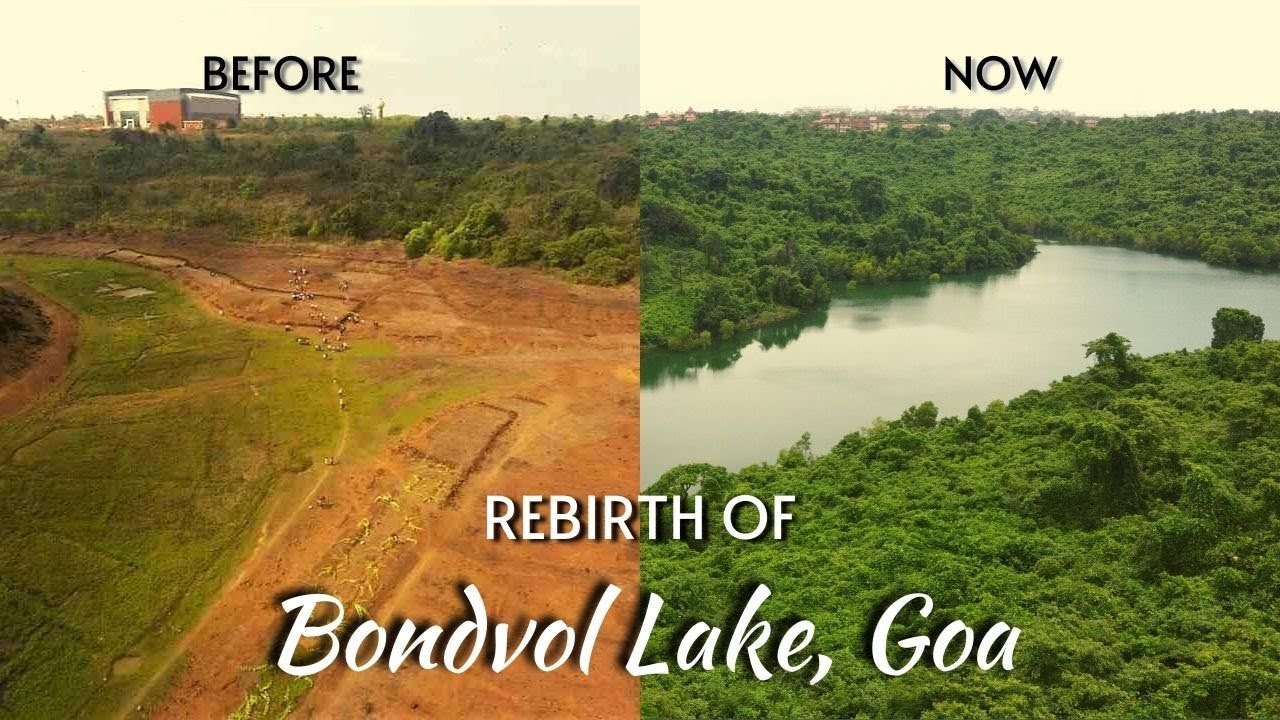 Rebirth of a Century-Old Bondvol Lake in Goa | Save Goa's Nature | 4K Cinematic Drone Video