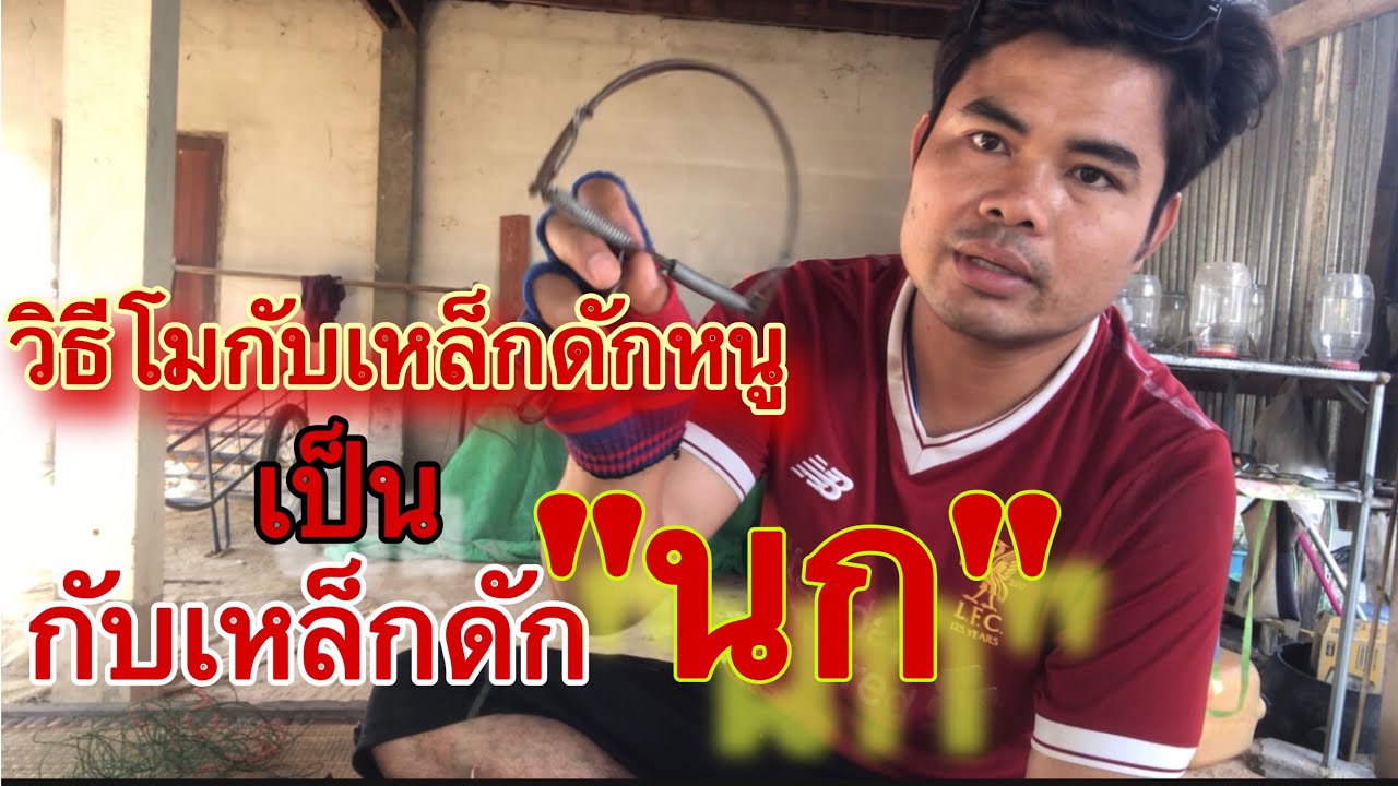 🔥ละเอียดทุกขั้นตอนโมกับเหล็กดักหนู เป็นกับดักนก พร้อมอธิบายดูจบทำได้แน่นอน💯% |นี่แหละครับชีวิต Ep.17