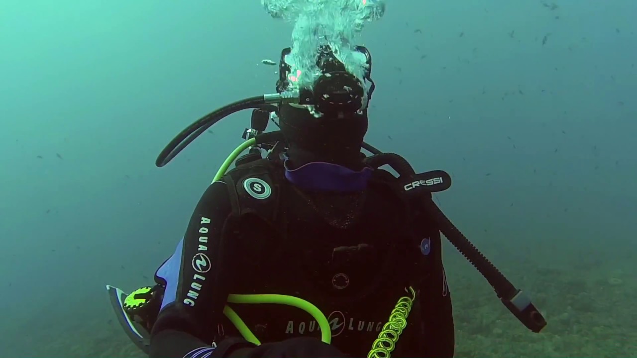 Scuba diving in Liguria: Bergeggi