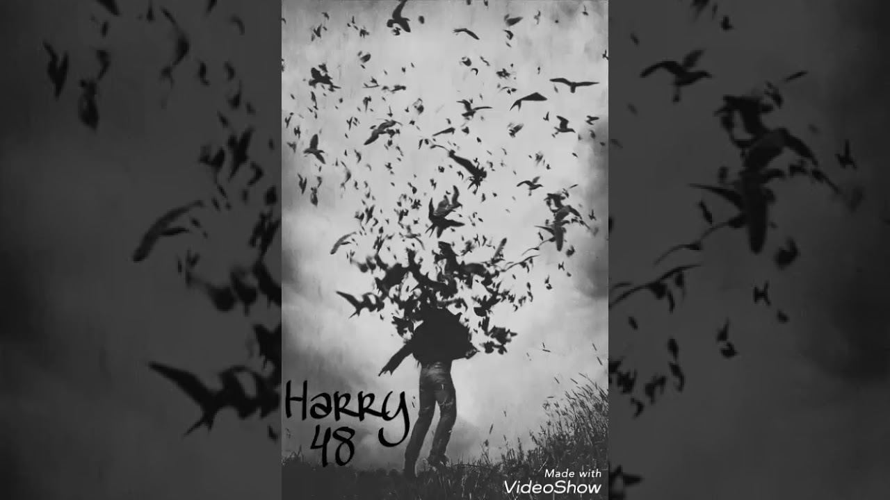 Harry48 - Tkhmami | تخمامي | #rapmaroccain