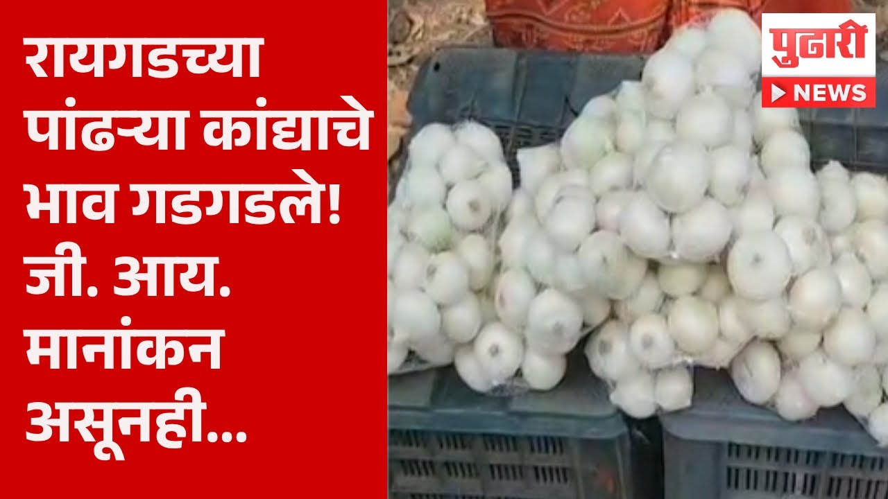 Pudhari News|रायगडच्या पांढऱ्या कांद्यांना भाव मिळेना! काय आहे कारण..|Raygad news | onion export ban