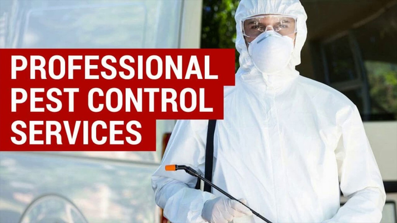 Residential & Business Rat Control Service - Burlington ON