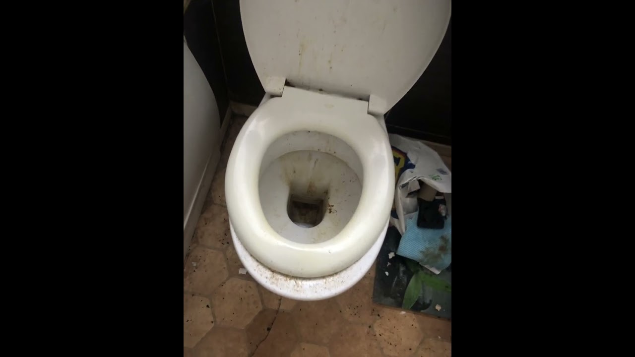 Filthy flat turned back into a home