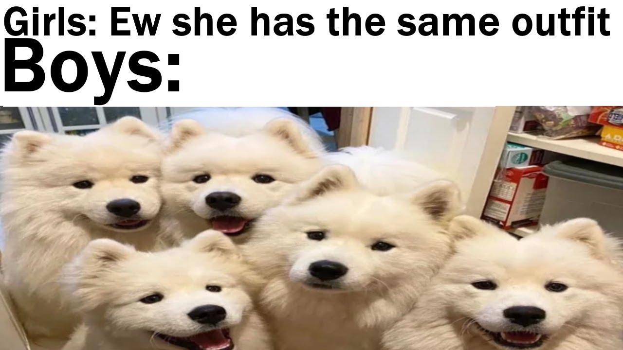 Wholesome Memes To Warm Your Heart
