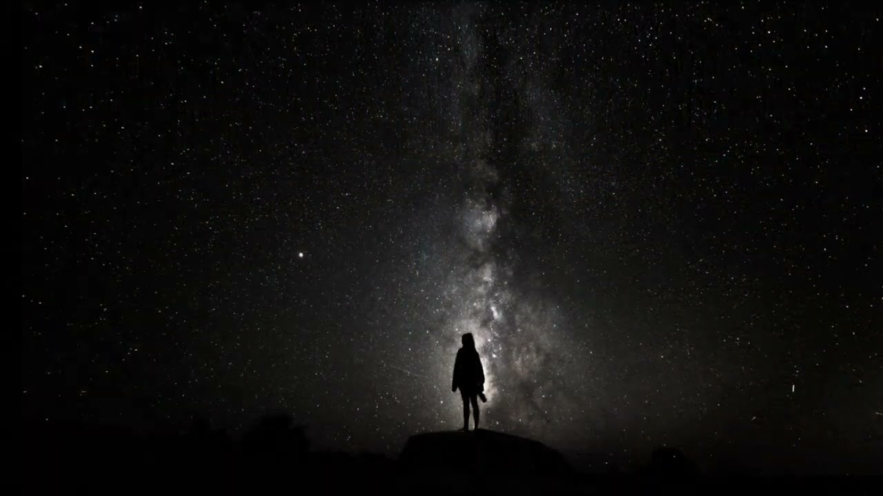 LA LEGGE LO CONSENTE 2007