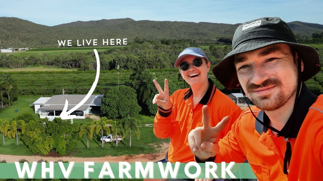 Living on a Mango Farm in FNQ | QUEENSLAND