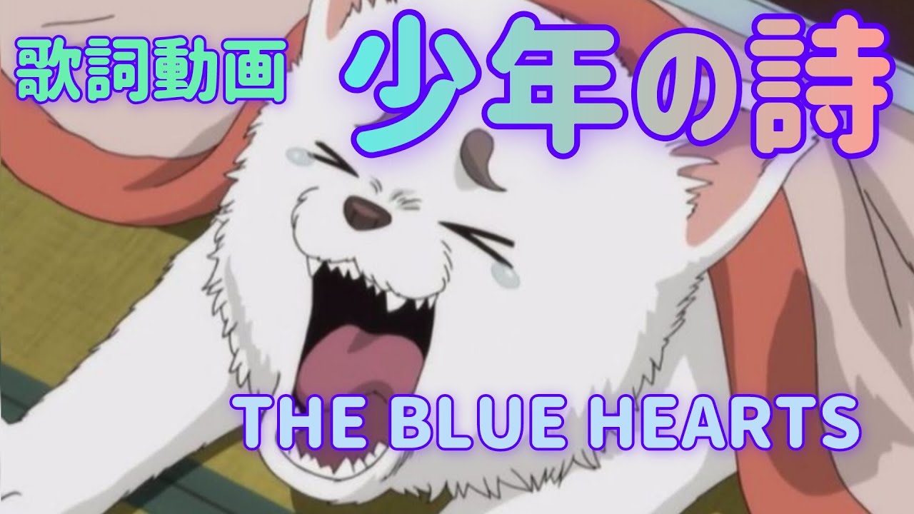 【歌詞動画】少年の詩（THE BLUE HEARTS）✖銀魂（定春）